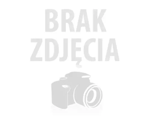 Montaż